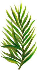 Naklejka premium Paradise beach jungle tropical party nature template invitation card botanical leaf illustration hand drawn