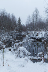 The small river with snow around it and a forest near covered with snow in winter