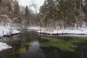 Fototapeta na wymiar Saula blue springs (siniallikad in Estonian) at snowy winter