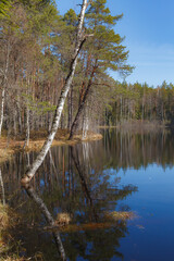 Obraz premium Lake with trees on the shore