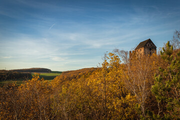 Zamek Świny © Katarzyna