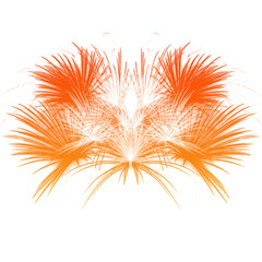 beautiful fireworks explosion
