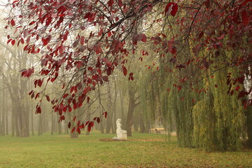 Mglista i nastrojowa jesień w parku solankowym w Inowrocławiu