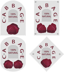 Naklejka premium Sweet juicy tasty natural eco product cabbage
