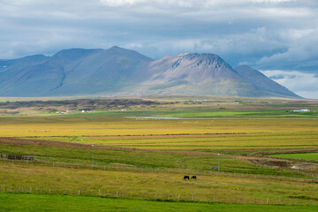 Rural landscape viewed from the Ring road during summer in northern Iceland 