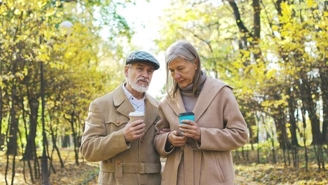 Mature old bearded smart elegant talkative man walking holding hands with beautiful cute older woman talking communicating listening. Respectful lovely couple family of senior husband and wife.