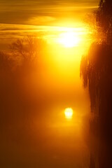 Reflection of the Rising Sun in a River Covered in Fog - 545663654