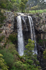 Fototapeta na wymiar Sailors Falls waterfall ,Hepburn Regional Park, Corner Ballan Daylesford Road, Daylesford, Victoria, Australia