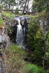 Naklejka na ściany i meble Sailors Falls waterfall ,Hepburn Regional Park, Corner Ballan Daylesford Road, Daylesford, Victoria, Australia