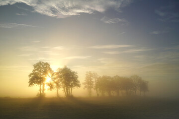 Sunrise behind trees on a foggy autumnal pasture - 545664841