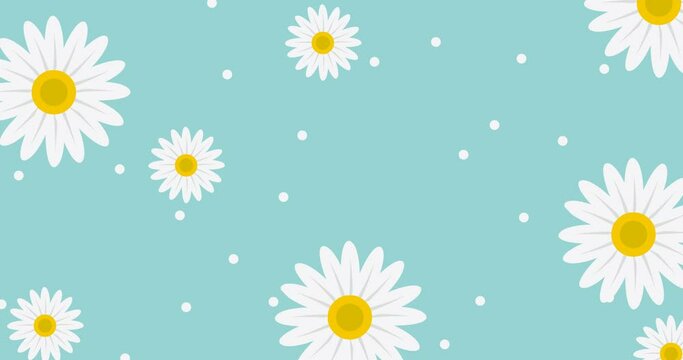 animated background pattern of white, yellow and blue flowers flying