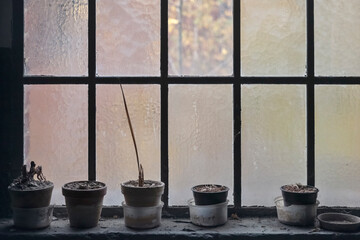 D&uuml;rre im Fensterbrett