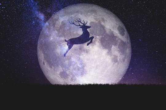 Night deer silhouette against the backdrop of a large moon_element of the picture is decorated by NASA