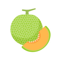 Vector cantaloupe. Juicy orange fleshy fruit. sliced ​​cantaloupe fruit