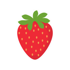 Strawberry vector. Sweet red fruit cut in half for a refreshing summer juice.