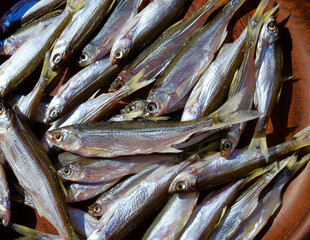 Bleak or Shemaya. Dried fish on a ceramic plate.