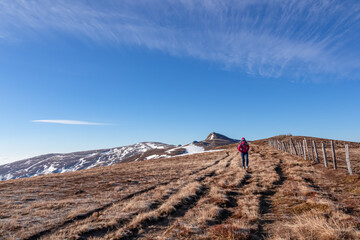 Front view of woman with hiking backpack on alpine meadow walking along fence from Ladinger Spitz...