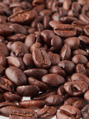 roasted coffee beans macro on a white background with free space
