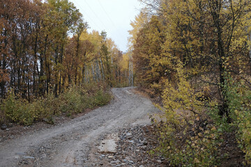 Autumn in the Salordek Forests, famous for their natural beauty, in Dersim's Pulumur Valley, Tunceli, Turkey.