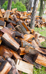 Large pile of firewood ready to be burnt