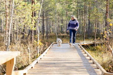 Woman with West Highland white terrier walking on forest trail