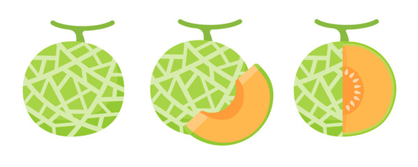 Vector cantaloupe. Juicy orange fleshy fruit. sliced ​​cantaloupe fruit