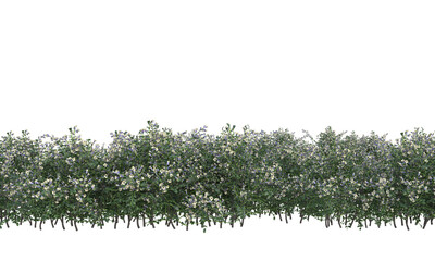 Various types of flowers grass bushes shrub and small plants isolated	