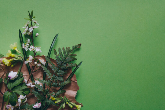 Composition De Fleurs Sauvage Sur Un Papier Kraft Sur Fond Vert