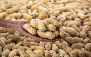 Organic peanuts in shell on wooden spoon with peanuts background.