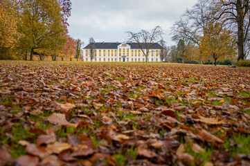 Fototapete bei efototapeten.de bestellen   