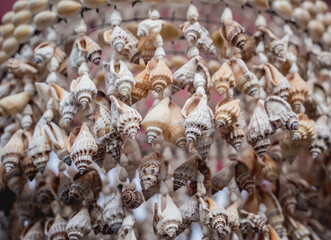 Handmade souvenir decorated with different sea shells