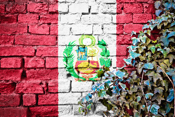 Peru grunge flag on brick wall with ivy plant