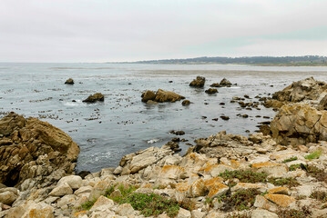 On the seventeen miles drive, near Carmel