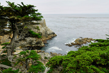 On the seventeen miles drive, near Carmel