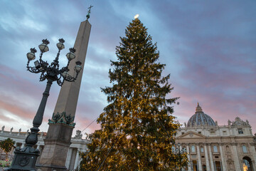 Christmas tree at St. Peter's Basilica, Vatican, Rome, Italy