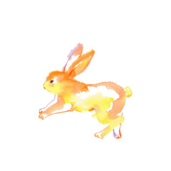 オレンジ色のうさぎ