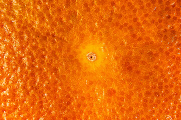 Close-up macro photo of grapefruit peel, abstract natural citrus fruit peel pattern, natural...