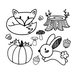 Nature hand drawn vector sketch. Collection of forest plants and animals. Mushroom, grass, hazelnuts, berries, fox, rabbit, pumpkin
