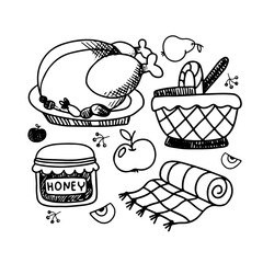 Hand drawn picnic outline elements. Baked chicken, basket, plaid. Vector illustration isolated on white background.