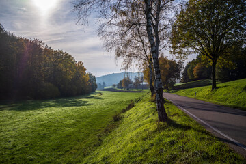 Obraz premium schmale strasse im herbst mit bäumen