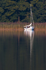 Fototapeta na wymiar sailboat on the background of the forest