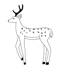 Outline deer isolated. Christmas hand drawn deer. Vector wildlife illustration	
