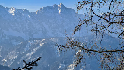 Tree branch with scenic view on the snow capped mountain peaks of Karawanks, Julian Alps near...