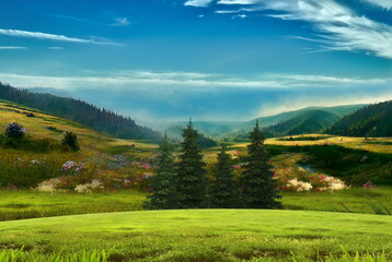 Fototapeta na wymiar nature landscape flowers and mountain on blue sky rainbow wild field and pine trees 