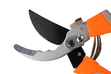 garden metal pruner with plastic orange handles, insulated on a transparent background