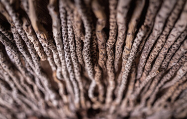 Background and texture of old natural woven straw