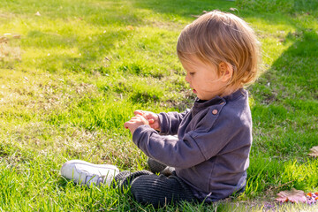 Fototapeta premium A 1-year-old girl enthusiastically plays sitting on the green grass of the lawn