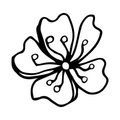 Sakura flower doodle icon. Back line isolated on white. One line contour floral drawing.Vector illustration