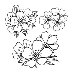 Obraz premium Vector illustration sakura cherry, branch with blooming flowers, Japan flowers