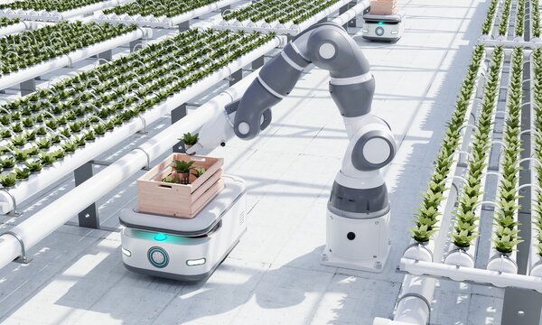 AGV robot courier cars transporting hydroponics vegetable crates to stock in warehouse for delivery to customers in greenhouse dome background. Smart farming and technology. 3D illustration rendering